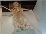 NEC_0063.JPG