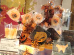 NEC_0065.JPG