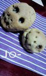 NEC_0001.jpg