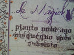 NEC_0059.JPG