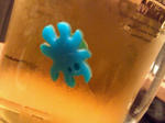 NEC_0075.JPG
