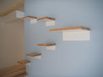 DSCF5919.JPG