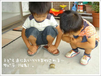 み、見られてる