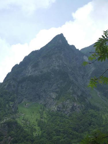 DSCF1268.JPG
