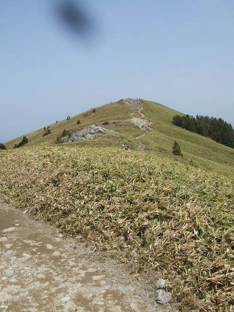 48670000_2057365481.jpg