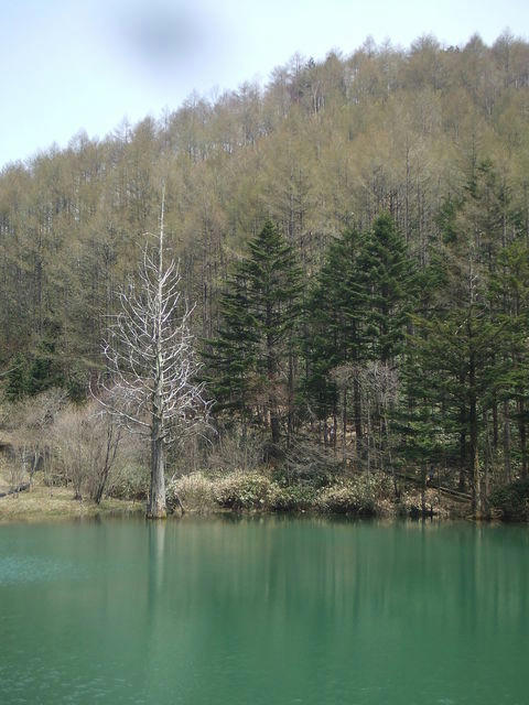 48670000_1418404050.jpg