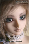 2T04.jpg