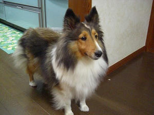 CIMG0079.jpg