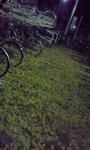 111216_2131~001.jpg