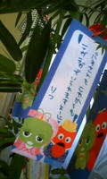 080610_1635~0002.jpg