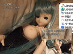 0a00.jpg