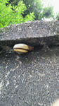 2011052418400000.jpg