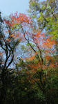 2011112212480000.jpg