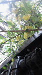 2012041911050001.jpg