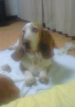 200910022042000.jpg