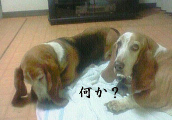 200910022033001.jpg