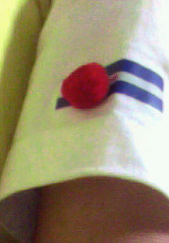 200910042357000.jpg