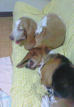 200910080251000.jpg