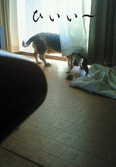 200910111424000.jpg