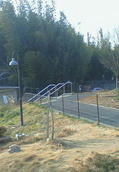 201001130928002.jpg