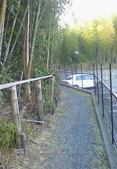 201001130930000.jpg