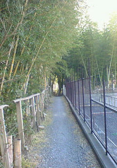 201001130931000.jpg