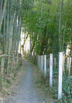 201001130932000.jpg