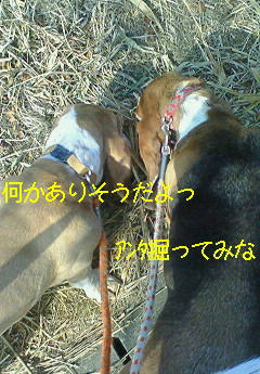 201001130924000.jpg