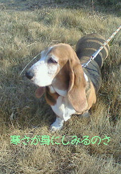 201001130928000.jpg