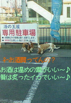 201001131243000.jpg