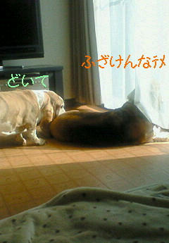 201001131156000.jpg