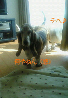 201001131156001.jpg