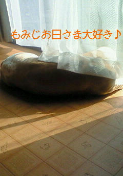 201001131202000.jpg