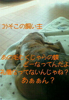 201001131206000.jpg