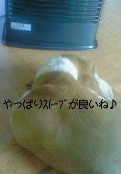 201001131238000.jpg