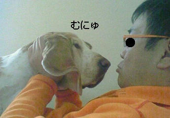 201001301241000.jpg