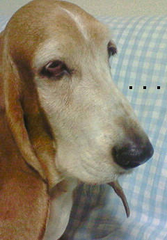 201001242143000.jpg