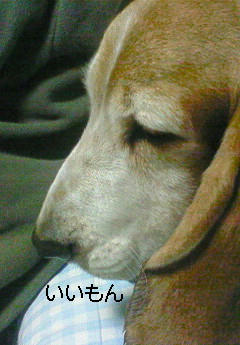 201001242128000.jpg