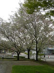 DSCN0392.jpg