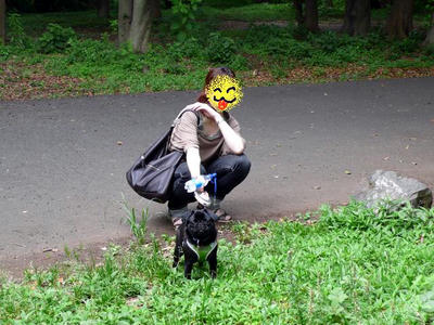 32f30330jpeg