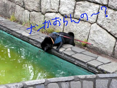 57bea3c8.jpeg
