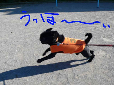 39aa7d8f.jpeg
