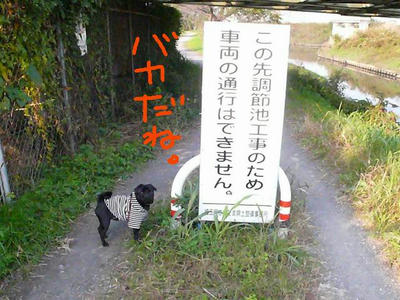 08110507.JPG