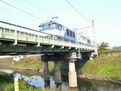 08110509.JPG