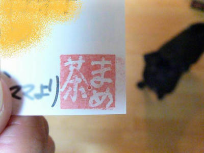 08110552.JPG
