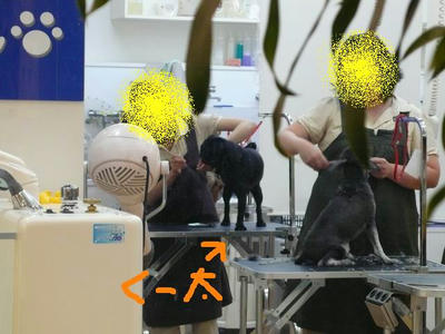 9cb4d9aa.jpeg