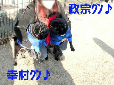 081206011.JPG