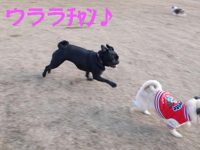 081206032.JPG