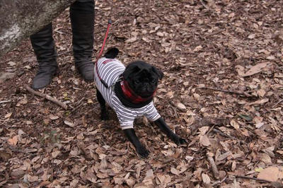 09021121.JPG