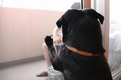 090505015.JPG